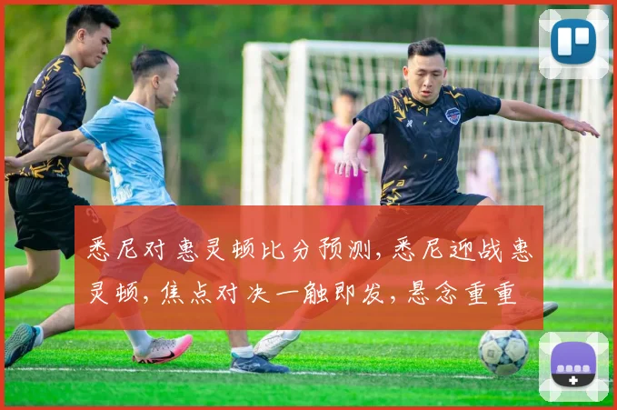悉尼对惠灵顿比分预测,悉尼迎战惠灵顿,焦点对决一触即发,悬念重重